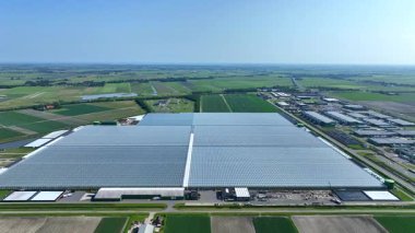 Kuzey Hollanda 'daki cam bahçeciliğinin hava görüntüsü.