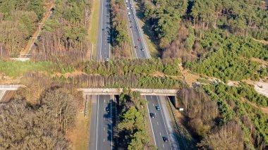 Hollanda 'daki Veluwe' deki ekoduct Hulsthors 'dan havadan.
