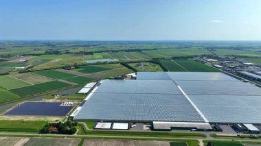 Middenmeer Hollanda 'daki cam bahçıvanlığının hava görüntüsü.