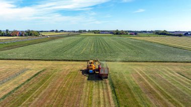Yazın çimen hasat eden tarım makinesinin hava görüntüsü.