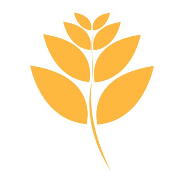 Beyaz arkaplanda izole edilmiş yaprak simgesi