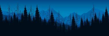 Siluet çam ve orman arka planı