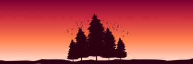 Orman ağaçlarının Silhouettes.