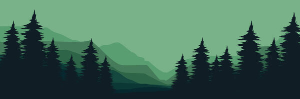 dark green forest in fog