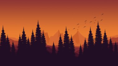 Geceleri dağın önündeki çam ağacının silueti.