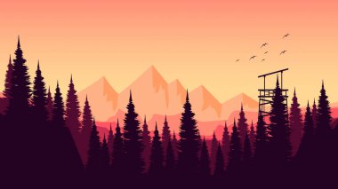 Gün batımlı çam ağacı ormanının silueti.