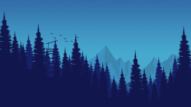 Dağlı çam ağacının silueti