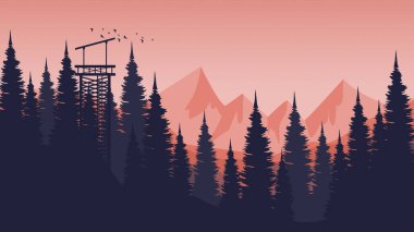 Gece çam ormanı ve tepe