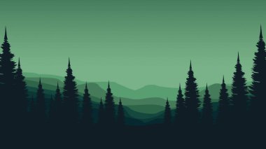 Çam ormanlı orman manzarası