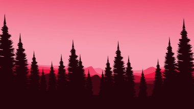 Akşamları ağaçların silueti ve çam ormanı