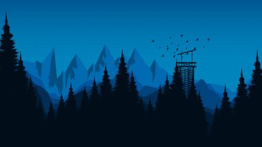Geceleri çam ağacı ve çam ormanı silueti