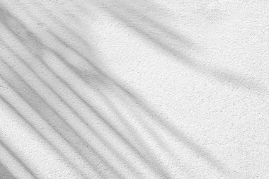 Beton bir duvardaki gölge yaprağının siyah ve beyaz soyut arkaplan dokusu.