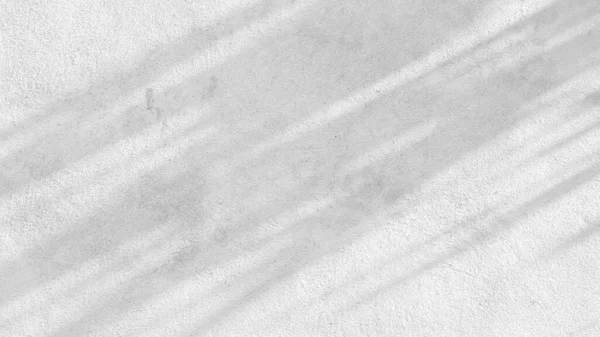 Schwarz Weiß Abstrakte Hintergrundtextur Der Schatten Blatt Auf Einer Betonwand — Stockfoto