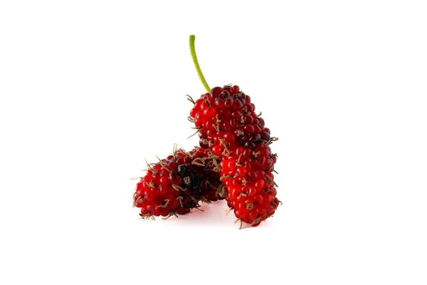 Tumpukan Buah Mulberry Organik Terisolasi Pada Latar Belakang Putih — Stok Foto