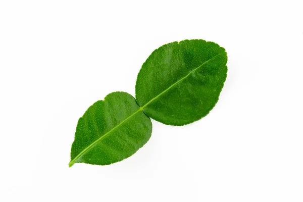 Зеленый Цитрусовый Тайский Лайм Ингредиент Приготовления Пищи — стоковое фото