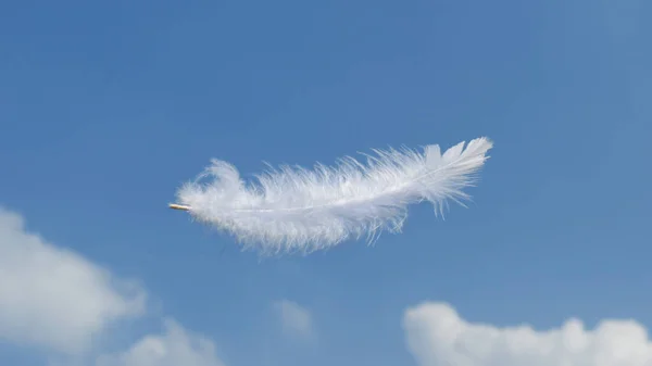 Hermosas Plumas Suaves Blancas Claras Esponjosas Flotando Cielo Con Nubes — Foto de Stock
