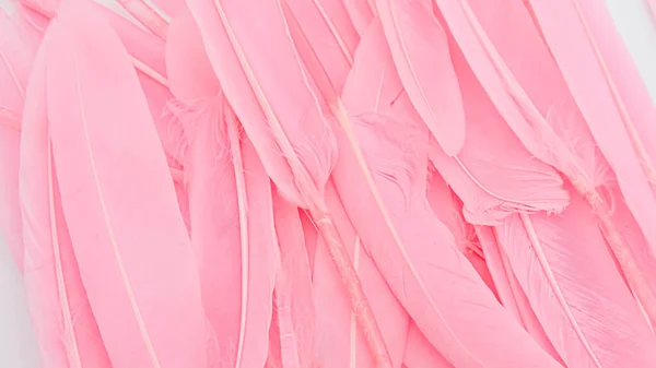 Różowy Pióro Wełna Wzór Tekstury Tło — Zdjęcie stockowe