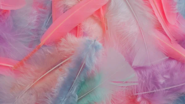 ピンクの羽根のウール柄の質感の背景 — ストック写真