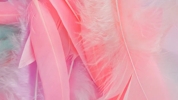 Rózsaszín Toll Gyapjú Minta Textúra Háttér — Stock Fotó