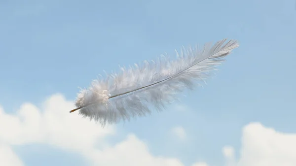 Mooie Zachte Licht Witte Pluizige Veren Drijven Lucht Met Wolken — Stockfoto