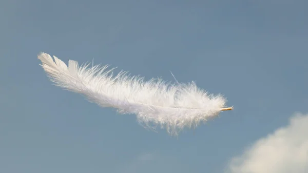 Hermosas Plumas Suaves Blancas Claras Esponjosas Flotando Cielo Con Nubes —  Fotos de Stock