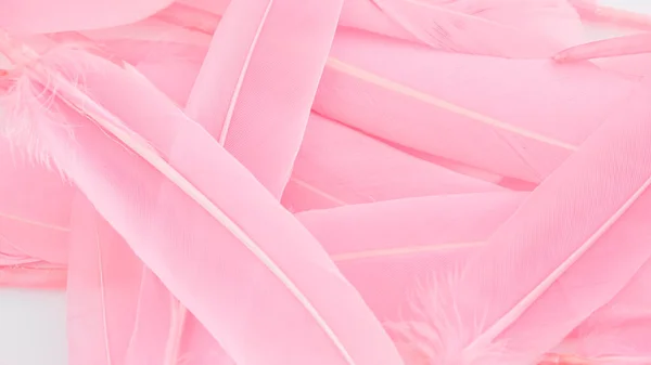 粉红羽绒图案背景 — 图库照片