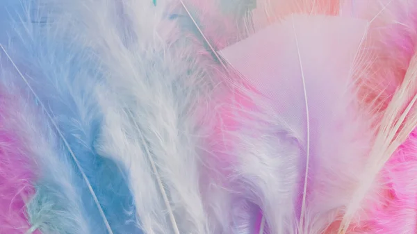 ピンクの羽根のウール柄の質感の背景 — ストック写真