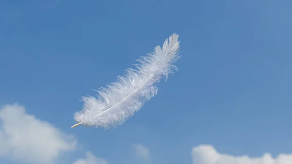 Penas Fofas Brancas Macias Claras Bonitas Flutuando Céu Com Nuvens — Fotografia de Stock