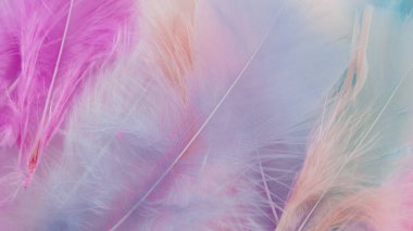 pembe tüy desen dokusu arkaplanı