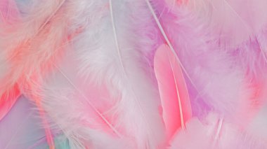 pembe tüy desen dokusu arkaplanı