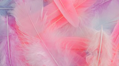 pembe tüy desen dokusu arkaplanı