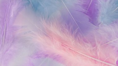 pembe tüy desen dokusu arkaplanı