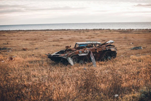 Wrecked Shelled Tank Ukrainian Field — Stockfoto