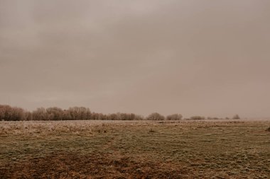 Çimenlerdeki boş yeşil bir tarla, kırağı kaplamıştı. Sonbahar sabahının erken saatlerinde. Siste doğa, kasvetli soğuk hava. Sıcaklık Ukrayna Avrupa 'da düştü
