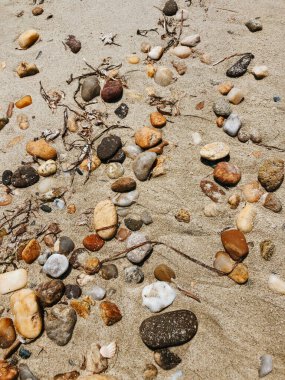 Kumlu ve ıslak sahilde deniz taşları. Yaz arkaplan dokusu duvar kağıdı. Güneşli sahil gününün üstündeki en iyi hava manzarası. çok güzel çok renkli yuvarlak yumuşak çakıl taşları kuma saçılmış.