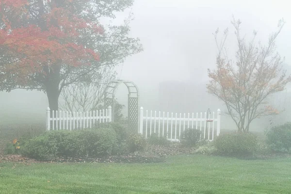 秋天的清晨雾笼罩着花园 展现出它美丽的橙色叶子 — 图库照片