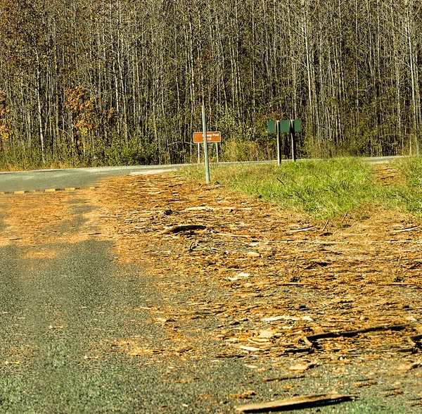 Landsväg Täckt Flis Efter Många Träd Som Huggits Ner Sitt — Stockfoto