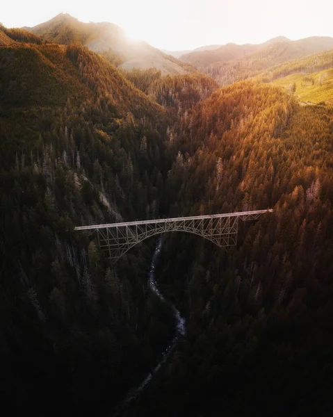 Bridge over a river in a forest