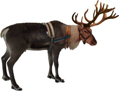 standing reindeer with harness clipart