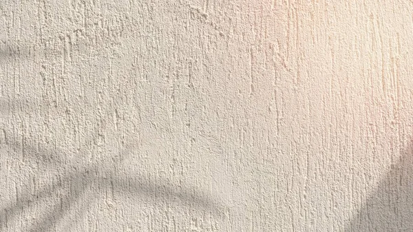 Leaf shadow desktop wallpaper, white concrete wall background