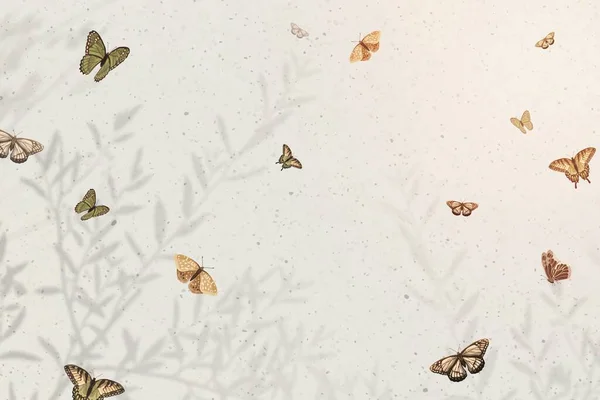 Aesthetic cream butterfly background, feminine design space