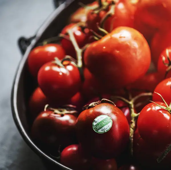 Closeup Tomates Orgânicos Frescos — Fotografia de Stock