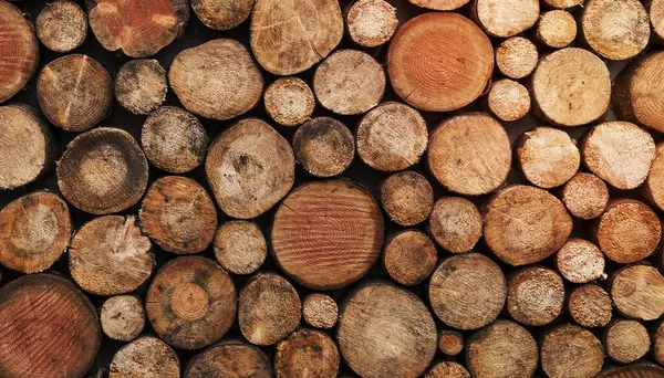 Wood Log Pattern Texture Computer Wallpaper High Definition Background — Stock Photo, Image