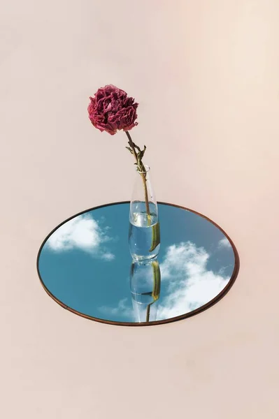 Эстетическая Цветочная Ваза Зеркальном Фоне — стоковое фото