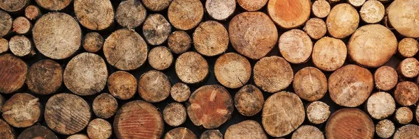 Wood Log Pattern Background Twitter Header Design — Stock Photo, Image
