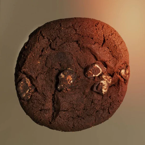 Singel Dubbel Choklad Chip Cookie Närbild Isolerad Grå Bakgrund — Stockfoto