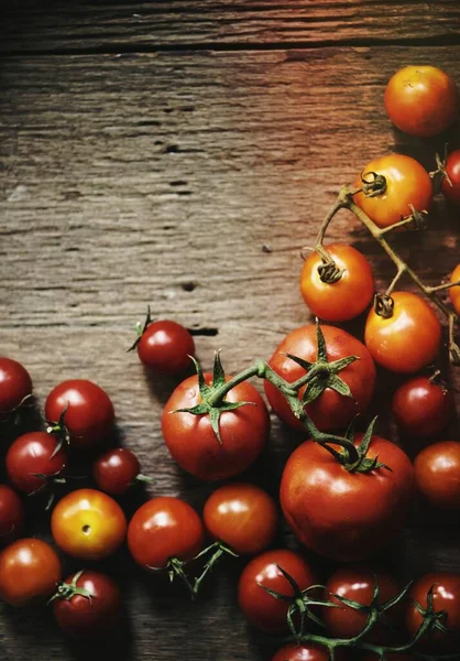 Uma Imagem Tomates — Fotografia de Stock