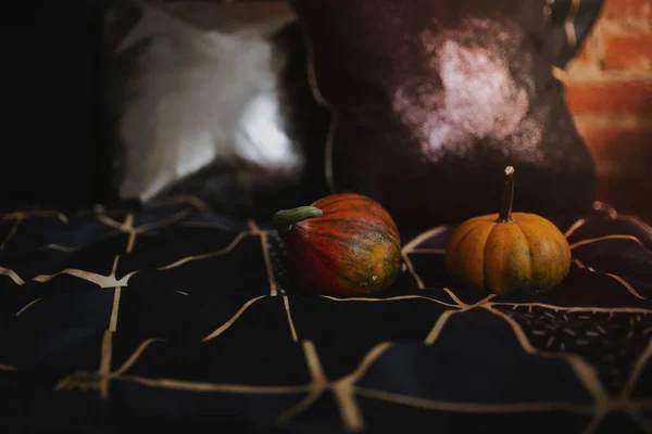 Decoração Halloween Sofá — Fotografia de Stock