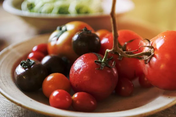 Frische Bio Tomaten Auf Einem Teller — Stockfoto