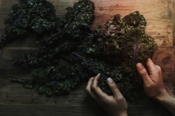 Closeup Fresh Green Kale — Stock Photo, Image